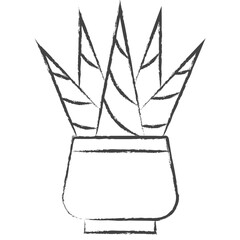 Hand drawn Cactus Plant illustration icon