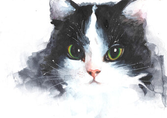 Cute tuxedo cat face, watercolor illustration