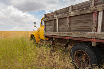 farm truck in field