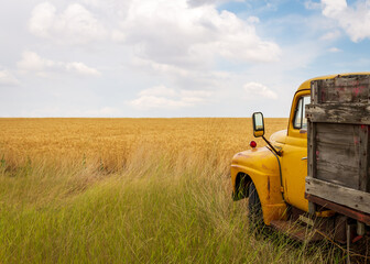 truck in wheat field