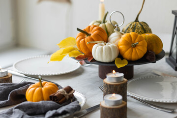 Idea for a beautiful autumn setting for thanksgiving family dinner or wedding. Orange pumpkin as decor. Cozy fall home atmosphere.