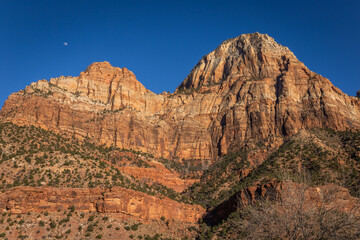 zion national park