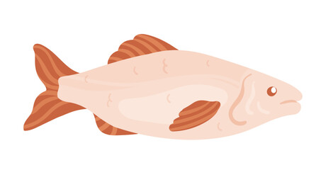 Whole salmon fish. Raw red fish fillet, healthy seafood menu, water fauna vector illustration