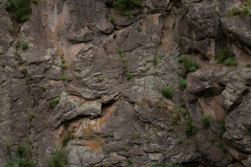 Rock texture in the Jemez Mountains  