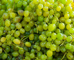 Ripe white grapes in clusters as natural background