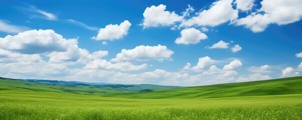 Green field and blue sky with clouds. Panoramic landscape