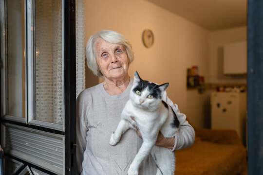 one woman senior old female caucasian pensioner standing at home alone waist up portrait look to the camera hold cat pet dementia alzheimer's disease and depression concept lonely emotion copy space