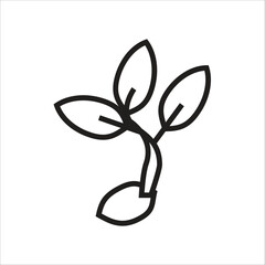 seed vector icon line template