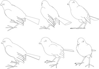 Sketch vector illustration of a bird with pretty wings in the wild