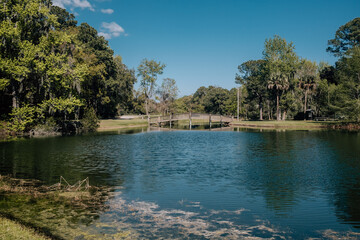 Lake in Sea Pines Forest Preserve in HIlton Head Island, South Carolina. A relaxing and quiet day.