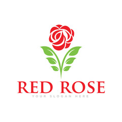 Red Rose Flower Logo Design Illustration