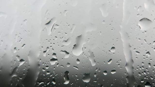 Macro Rain Drop On Window