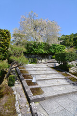 円光寺　境内の参道　京都市左京区一乗寺