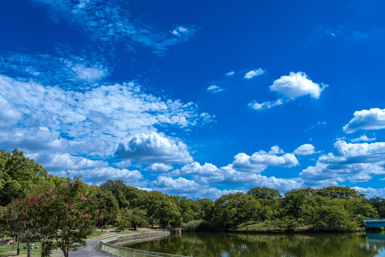 夏の空