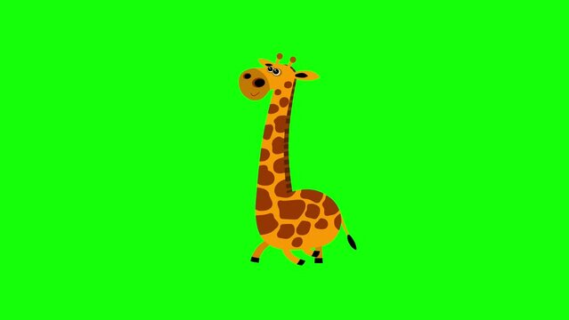 Cartoon giraffe flat design children animation walking cycle greenbox. Cute 2d hand made African yellow brown animal character animation good for any use. 
