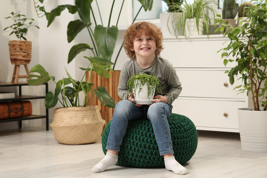 Cute little boy holding beautiful green plant at home. House decor