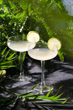 lime daiquiri summer exotic cocktail, flying drops. Tropical background with palm leaves