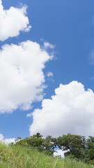 夏の青空と白い雲