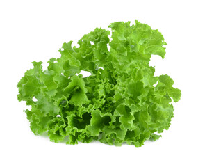 Salad leaf. Lettuce isolated  transparent png