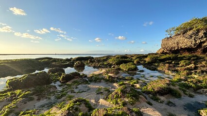 moss rocks golden hour