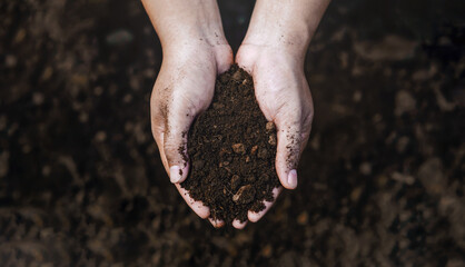 young man holding black soil Planting green seedlings on soil. Top view. Nature care concept. Environment, net zero.