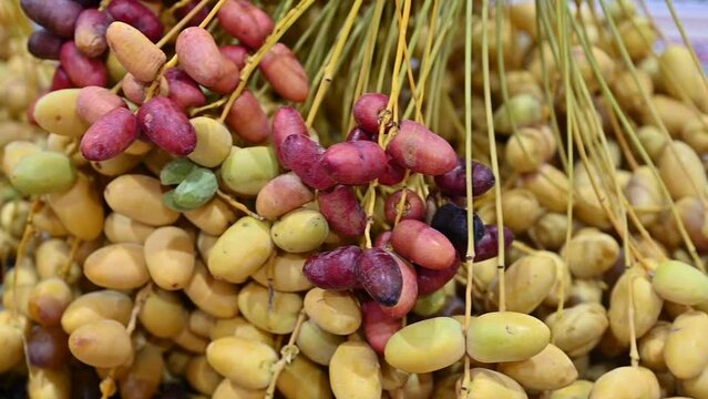 Fresh Emirati Dates are displayed during the Dates Festival in the United Arab Emirates