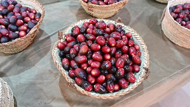 Fresh Emirati Dates are displayed during the Dates Festival in the United Arab Emirates