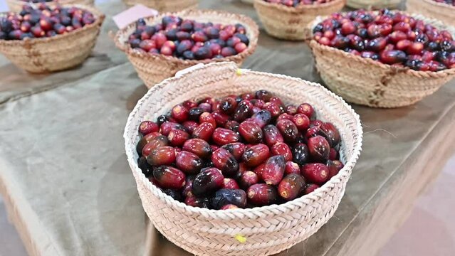 Fresh Emirati Dates are displayed during the Dates Festival in the United Arab Emirates