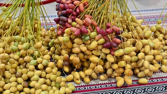 Fresh Emirati Dates are displayed during the Dates Festival in the United Arab Emirates