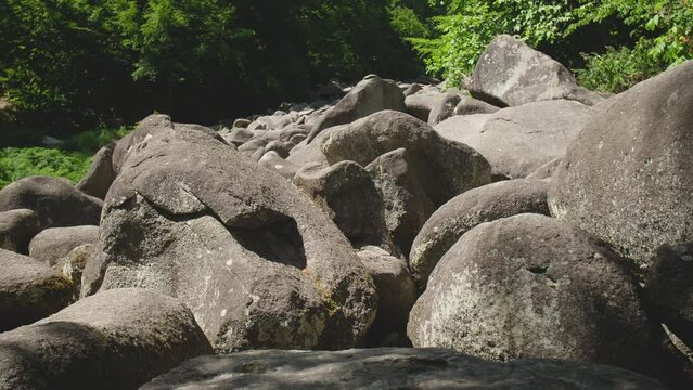 Felsenmeer in Odenwald Sea ​​of ​​rocks wood nature landscape tourism on a sunny day close up steady shot