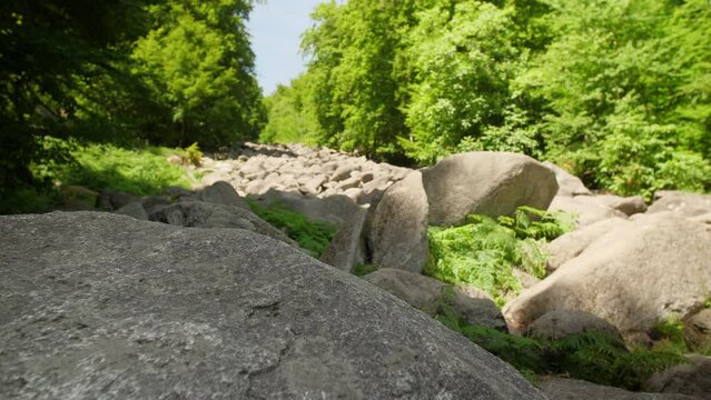 Felsenmeer in Odenwald Sea ​​of ​​rocks wood nature landscape tourism on a sunny day steady movement shot