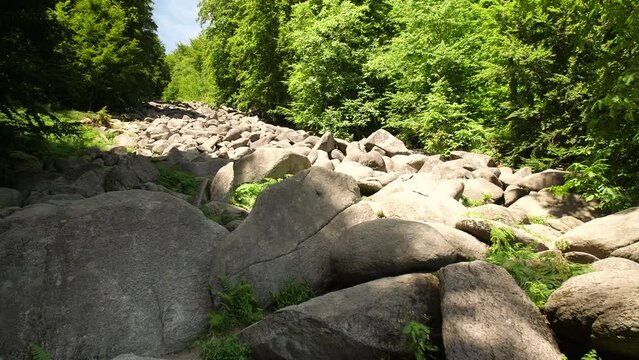 Felsenmeer in Odenwald Sea ​​of ​​rocks Wood Nature Tourism on a sunny day steady shot