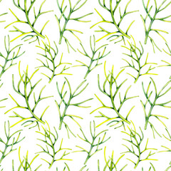 Watercolor cosmos flowers leaves hand drawn seamless pattern