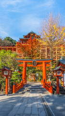 Saga, Japan - Nov 28 2022: Yutoku Inari shrine in Kashima City, Saga Prefecture. It's one of Japan's top three shrines dedicated to Inari alongside Fushimi Inari in Kyoto and Toyokawa Inari in Aichi - 632799722