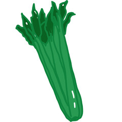 Vegetable hand drawn 