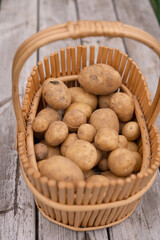New potatoes in a basket.