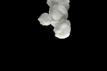 Abstract paint splash isolated on black background. Acrylic ink in water. selective focus.