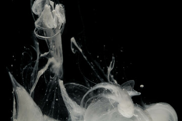 Abstract paint splash isolated on black background. Acrylic ink in water. selective focus.