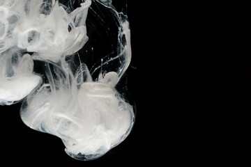 Abstract paint splash isolated on black background. Acrylic ink in water. selective focus.