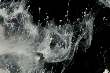 Abstract paint splash isolated on black background. Acrylic ink in water. selective focus.