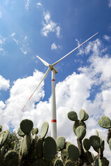 wind power generators in Mexico with prickly pear cactus, bushes and clouds in the background