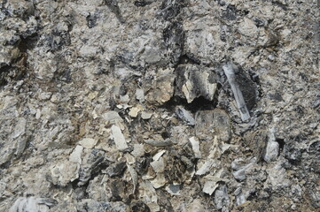 Ash Charcoal Wallpaper Background Image Template