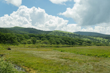 Naklejka premium 八島ヶ原湿原と夏の空／長野県霧ケ峰高原