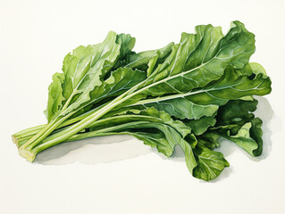 A Minimal Watercolor of Mustard Greens on a White Background