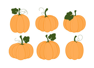 Set of pumpkins. Collection of autumn squash, pumpkins. Thanksgiving and Halloween design elements. 