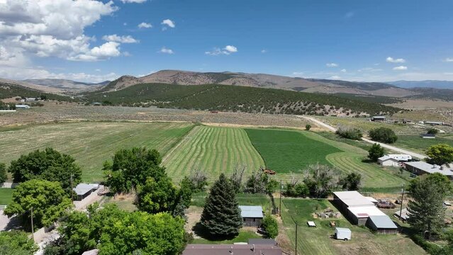 Aerial rural town homes to fields summer Utah. Farming community agricultural economy. Summer harvesting of alfalfa hay agriculture. Tractor equipment, Seasonal rural farm harvest.