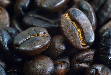 coffee beans close up