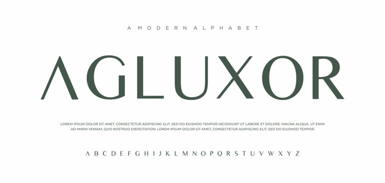 abstract wedding fashion creative luxury elegant serif font creative vector font
