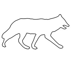 illustration of a wild fox 