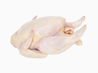 Whole raw chicken on white background. Closeup photo, blurred.